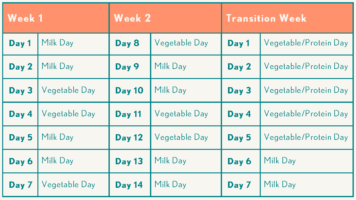 Detox Food Cycle