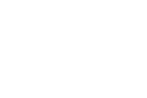 leo-digital
